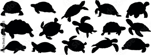 Set of different turtle silhouettes. Isolated flat vector illustrations