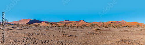 A panorama view of the early morning sun highlighting the east faces of dunes in Sossusvlei, Namibia in the dry season