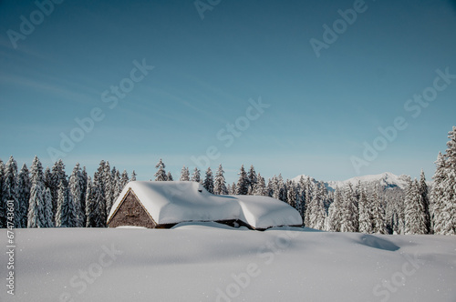 A mountain wooden hut covered in snow in Swiss Alps © Topsy Cretts