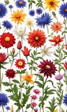 Set Of Colorful Wildflowers Including Dahlia, Lily, Poppy, And Cornflower.