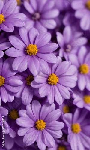 Closeup Of Purple Flowers On A Purple Background.