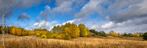 panorama october landscape - autumn sunny day  beautiful trees with colorful yellow leaves  Poland  Europe  Podlasie  forest near the meadow