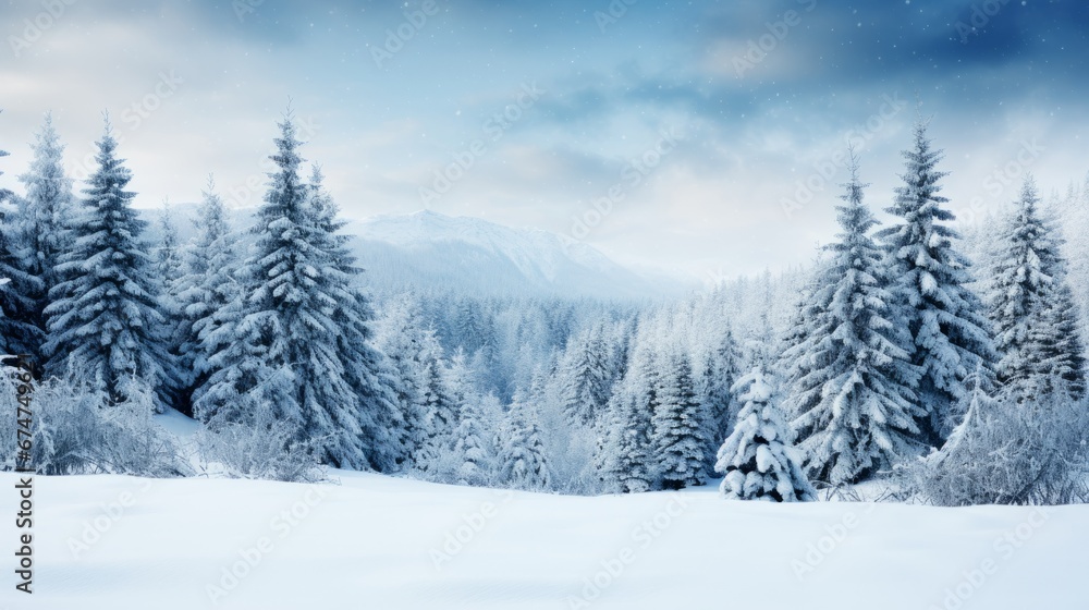 Winter wonderland panorama with snow covered fir branches and delicate snowfall in cold colors Winter wonderland panorama with snow covered fir branches and delicate snowfall in cold colors