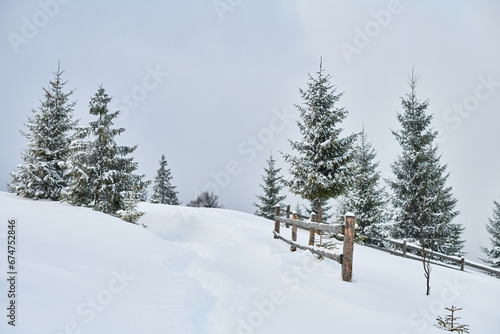 winter landscape with snow covered trees