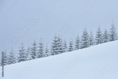 winter landscape with snow covered trees © Yura