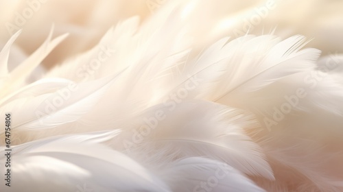 White bird wing  soft feathers closeup  high detail. Abstract light background. Feathers texture. Photo for design