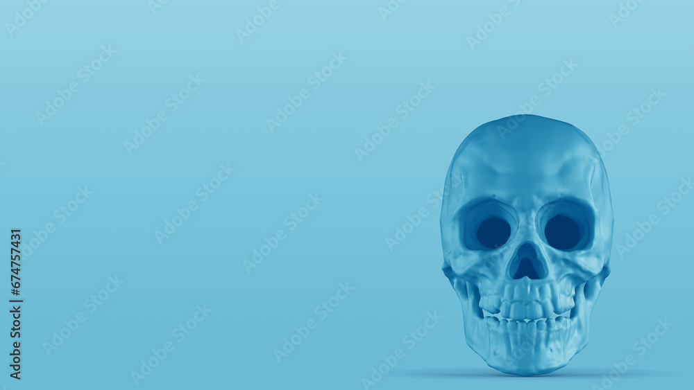 해골 머리뼈 배경 Skull Skeleton Background 해골 머리뼈 배경 Skull Skeleton Background
