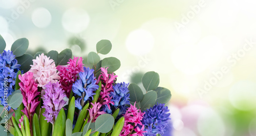 wedding or mothers day background, bouquet of Hyacinth flowers over garden background, web banner