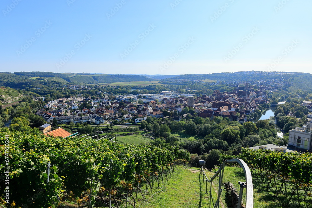 Blick über einen Weinberg auf den Ort Besigheim am Neckar