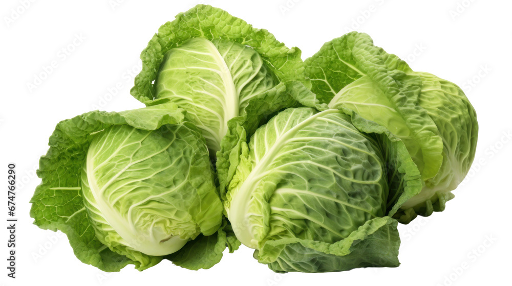 Fototapeta premium cabbage on a transparent background