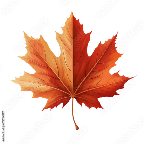 maple leaf flat illustration