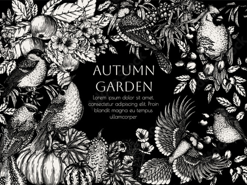 Vector frame of a bird in the autumn garden. Waxwing, robin, bullfinch, red cardinal and blue jay in engraving style