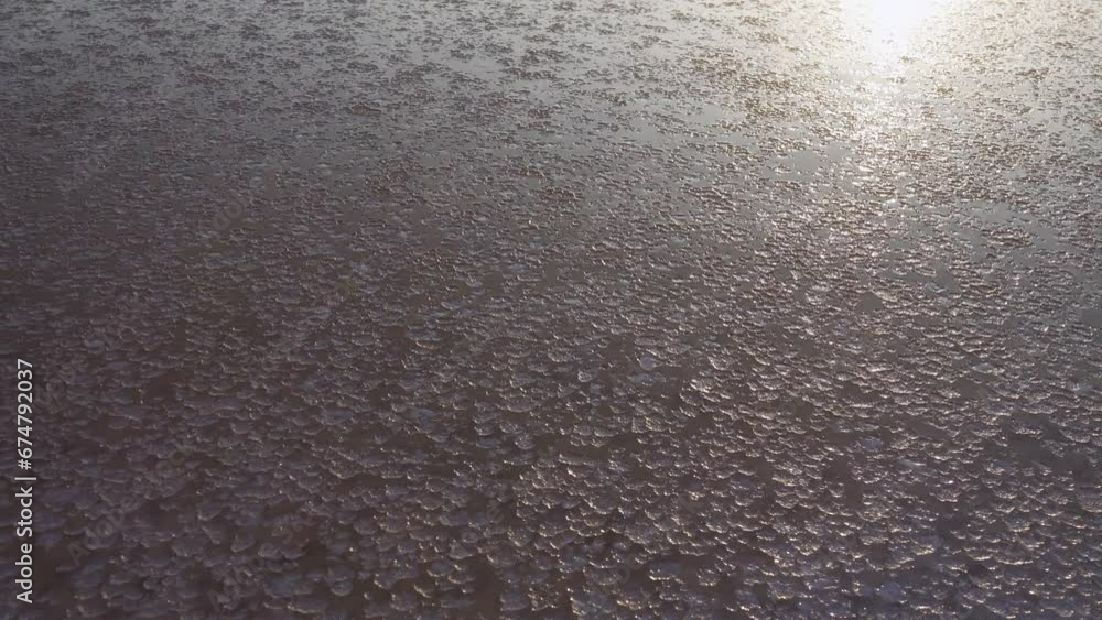Evening coolness and as if the formation of ice. But it's not ice. A crust of salt forms in calm weather on the surface of the hypersaline lake, as if it freezes (grease salt) Evening coolness and as if the formation of ice. But it's not ice. A crust of salt forms in calm weather on the surface of the hypersaline lake, as if it freezes (grease salt)