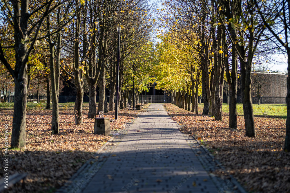 Fototapeta premium Ścieżka w parku jesienią
