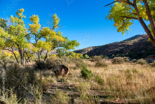 Scenery along Highway 4 near Jemez Springs, New Mexico © Guy Bryant