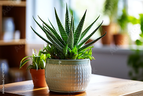 Aloe vera in ceramic pot and small succulent on wooden table against backdrop of window illuminated by bright sun. Green blurred plant background. Selective focus. Generative AI