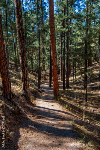 Jemez Springs Falls Overlook Trail  New Mexico