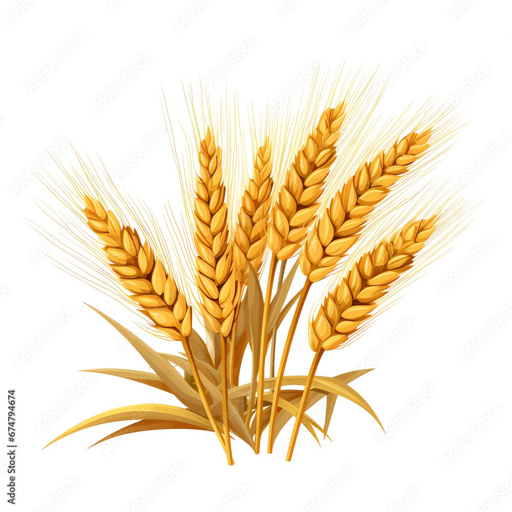 wheat grain flat illustration wheat grain flat illustration