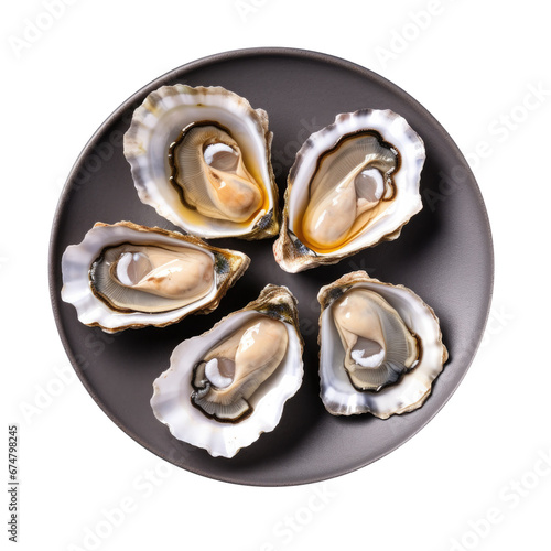 A Plate of Oysters Isolated on a Transparent Background 