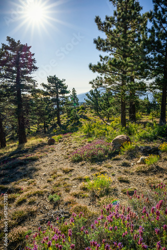 Scenic views of Santa Rosa mountains near Toro Peak in Southern California.