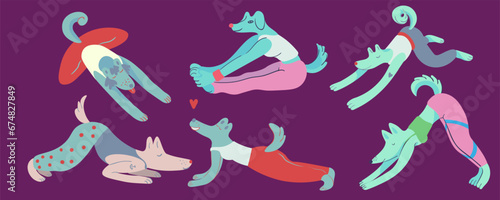 set of yoga dogs in vector. exercise in flat style. Template for postcard sticker logo poster for app website. A series of furry dogs in flat style
