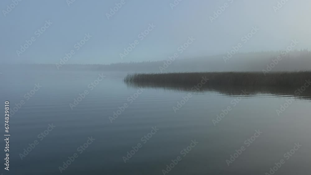 Peaceful morning at a large calm lake that is covered with a light fog. Dry brown reeds jut out into the lake and a distant shoreline can be seen through the fog. The water reflects the scene.
Peaceful morning at a large calm lake that is covered with a light fog. Dry brown reeds jut out into the lake and a distant shoreline can be seen through the fog. The water reflects the scene.