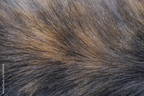 Background and texture brown gray cat hair on withers.