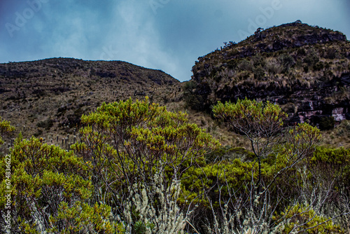 Paramo nature in the mountains of the Colombian Andes