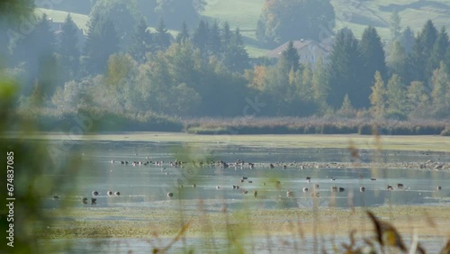 Lac de Joux im herbst 9 photo