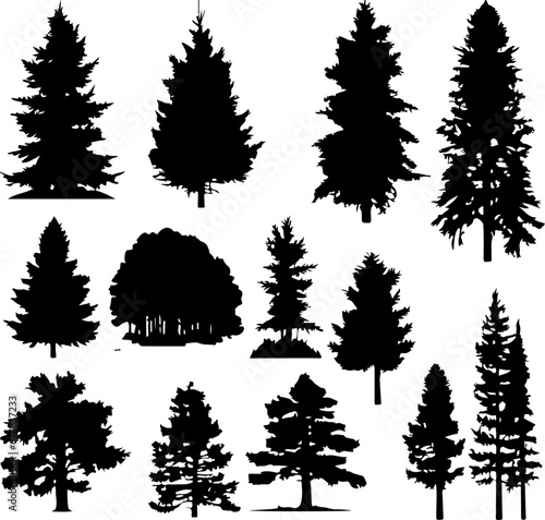 Silhouettes of Pine Trees, Tree and Firs against a White Background. Forest Shapes and Templates for Nature-Themed Vector Designs.