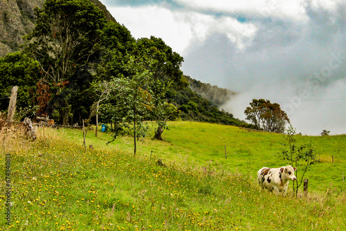 Nature in the mountains of the Colombian Andes