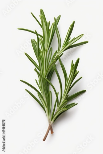 A simple and elegant sprig of rosemary placed on a clean white surface. Perfect for adding a touch of natural beauty to any culinary or home decor project.
