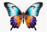 A vibrant butterfly with various colors displayed on a clean white background. Suitable for use in nature-themed designs or to add a pop of color to any project