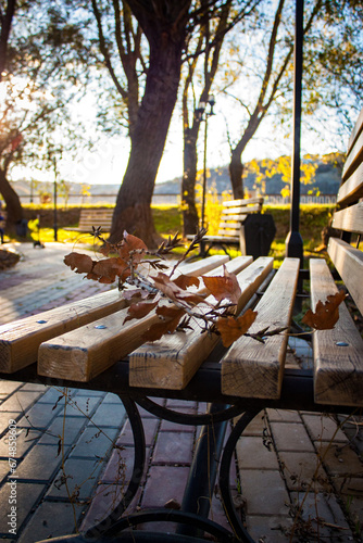 bench in autumn park