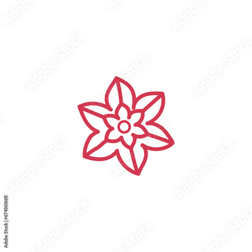 Beautiful flower on white background