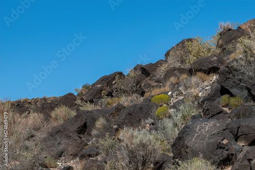Piedras Marcadas Canyon, Albuquerque, NM 