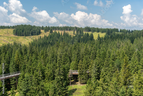 Pohorje Treetop Walk, Rogla. Slovenia, Europe. photo