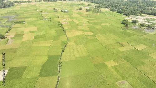 Aerial top footage of scenic green landscape with agriculture field. 4k photo