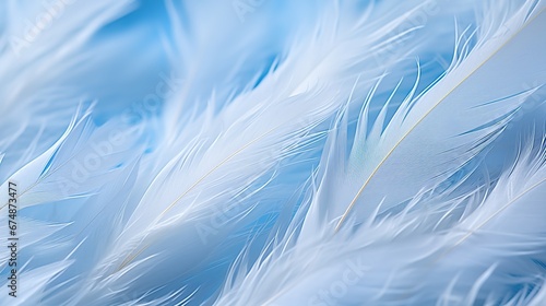 Bright white feather texture. Overhead top view  flat lay. Copy space. Birthday card  Mother s  Valentines  Women s  Wedding Day concept. Selective focus