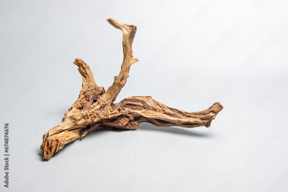 branches of a tree branches of a tree