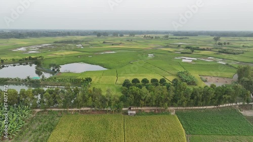 Aerial shot of green meadows of Bogura. Classical green landscape of Bogura, bangladesh photo