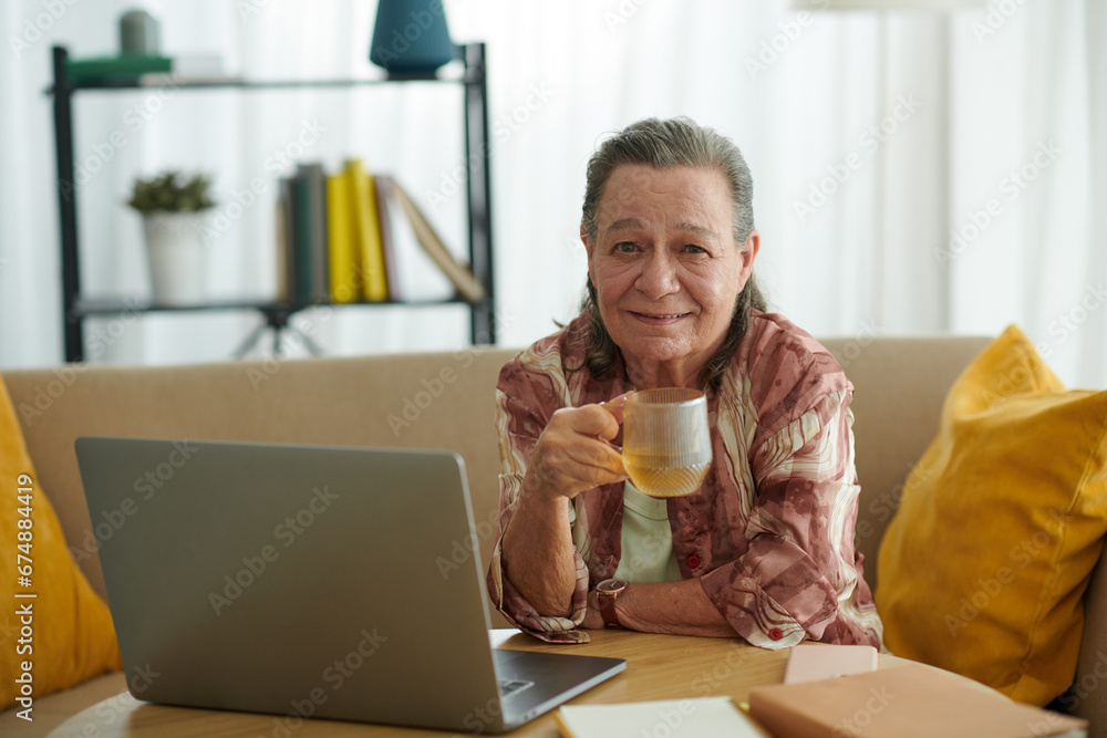 Cheerful elderly woman drinking tea and working on laptop at home Cheerful elderly woman drinking tea and working on laptop at home