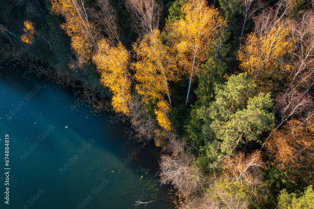 Aerial view on bank lake in the autumn sunny morning. Mixed woods on bank of lake. Transparent water in the lake and the bottom is visible. The trees on the bottom of lake.
