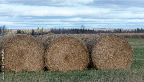 Straw round bales piled in a row at the edge of a field
