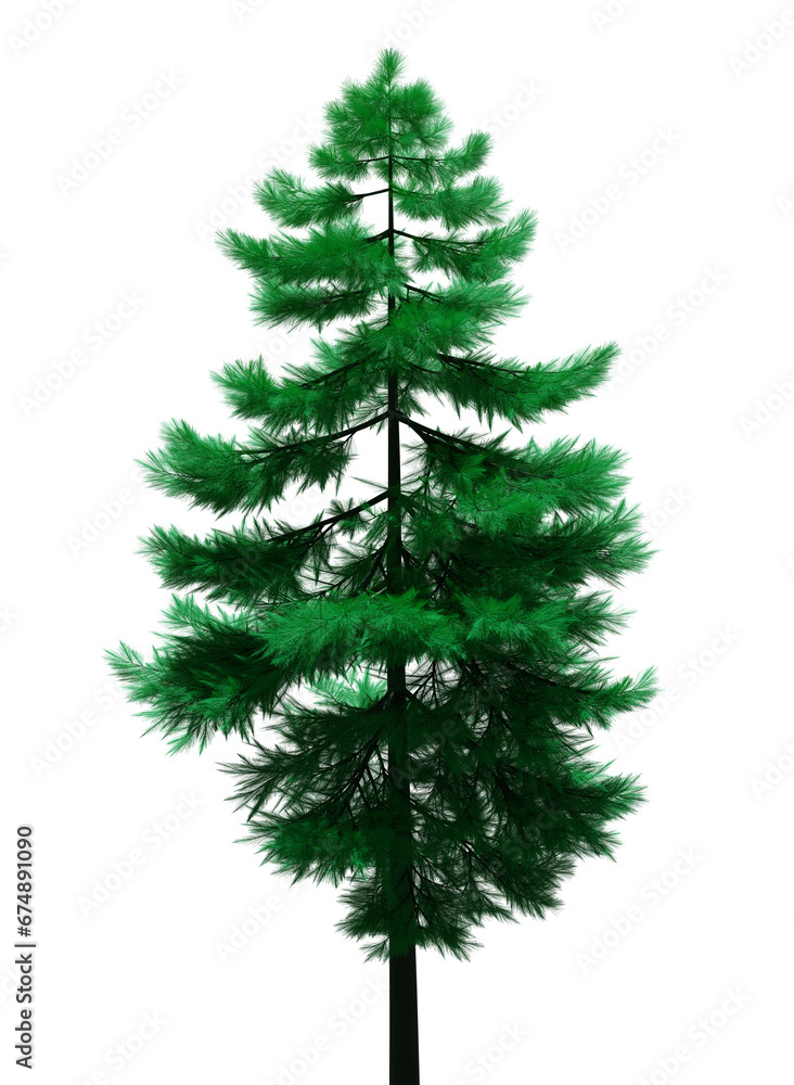 Fototapeta premium Isolated green needle stylized pine tree