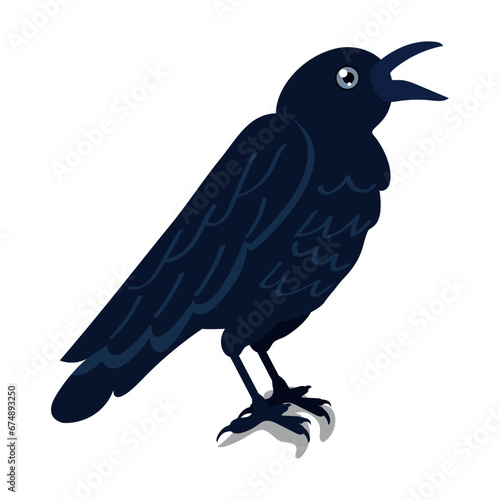Isolated black crow bird Vector