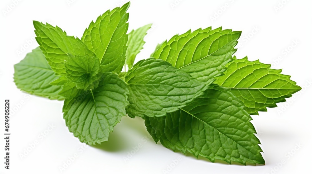 Fresh, green mint leaves on a white background. High quality photo. Close up. Mint leaf. Organic mint leaves isolated. Set, group. Fresh, green mint leaves on a white background. High quality photo. Close up. Mint leaf. Organic mint leaves isolated. Set, group.