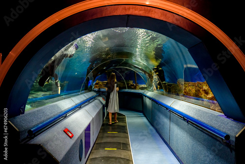 Canvas Print Tunnel in the aquarium with fish