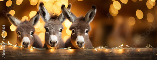 Billede på lærred Three donkeys in winter, christmas