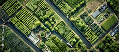 Aerial view of vegetable gardens. Netherlands. Canals with water for agriculture. Fields and meadows. Landscape from a drone. photo